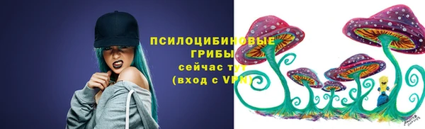 крисы Алексеевка