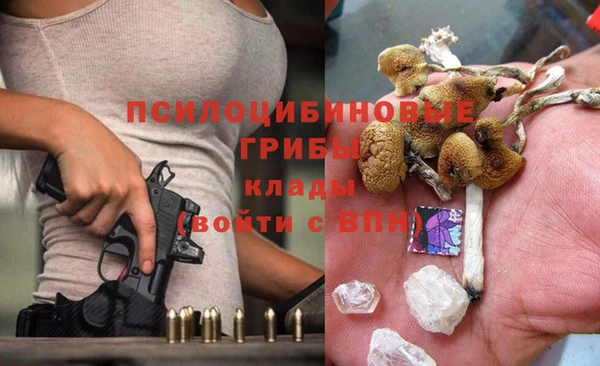 прущая мука Алзамай
