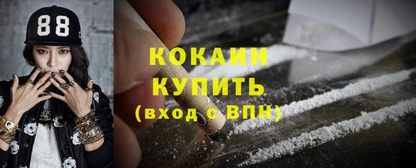 apvp Алексин