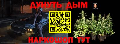 стаф Нальчик