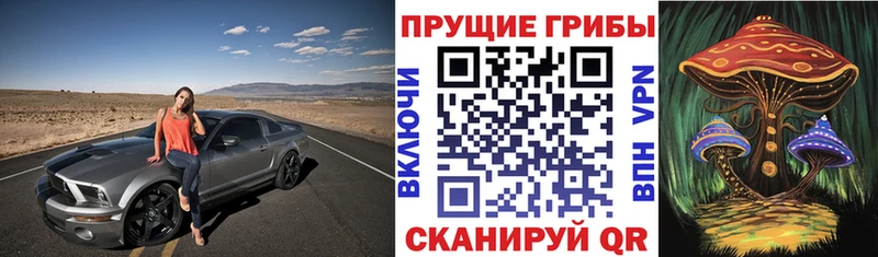 Псилоцибиновые грибы мицелий  Северодвинск 