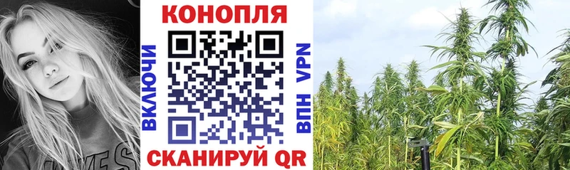 кракен онион  Северодвинск  Бошки Шишки планчик  закладка 