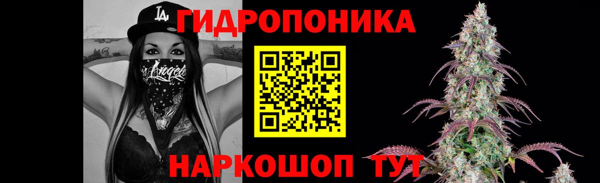 Марихуана тримм  МАРИХУАНА планчик  Вход с VPN  Каннабис AK-47  Северодвинск 